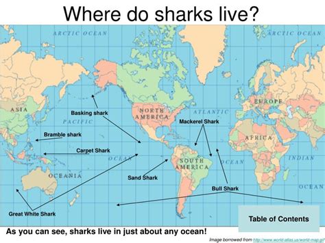 where do sharks live map.